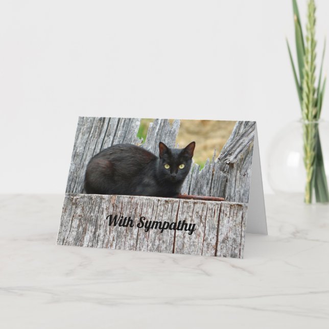 Hübsches Beileid für das Foto "Black Cat Log" Karte (Vorderseite)