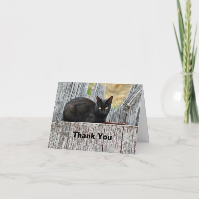 Hübsches Black Cat Log-Foto Dankeskarte (Vorderseite)