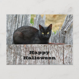 Hübsches Black Cat Log Foto Halloween Postkarte