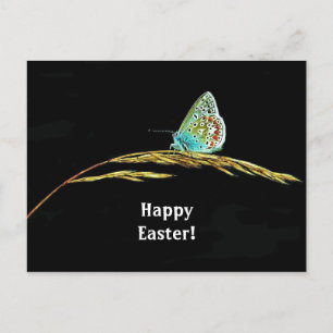 Hübsches blaues Schmetterlingsgras Foto Osterfeier Postkarte