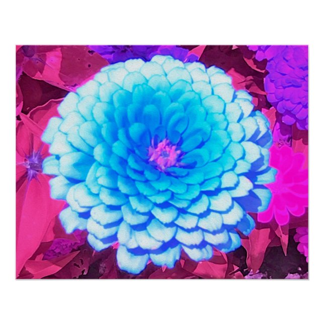 Hübsches blaues Zinnia im Lila Sommergarten Poster (Vorderseite)