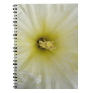 Hübsches, bleifreies affodisches Notebook Notizblock