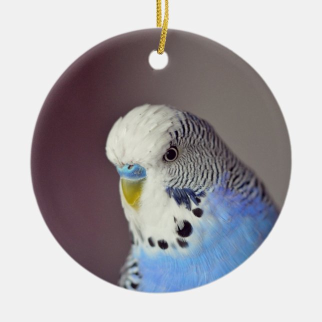 Hübsches Blue Budgie Foto Keramik Ornament (Vorne)