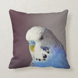 Hübsches Blue Budgie Foto Kissen