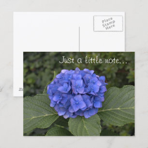 Hübsches Blue Hydrangea, nur ein kleiner Hinweis Postkarte