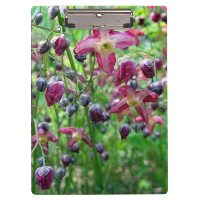 Hübsches Blumen-Frühlings-Foto des Klemmbrett (Vorderseite)