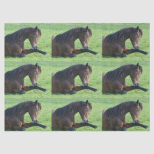 Hübsches braunes Pferd im Gras Gemustert Seidenpapier