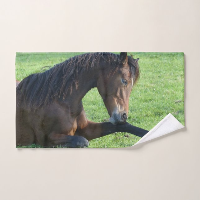 Hübsches braunes Pferd im Gras Handtuch (Handtuch)
