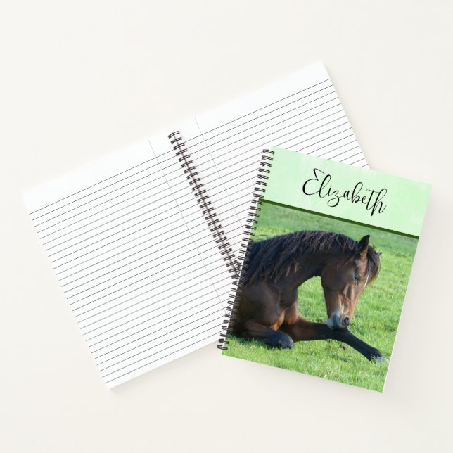 Hübsches braunes Pferd im Gras Notizbuch (Innenseite)