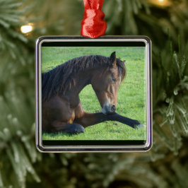 Hübsches braunes Pferd im Gras Ornament Aus Metall