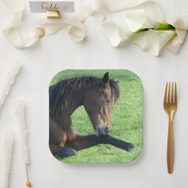 Hübsches braunes Pferd im Gras Pappteller (Hochzeit)