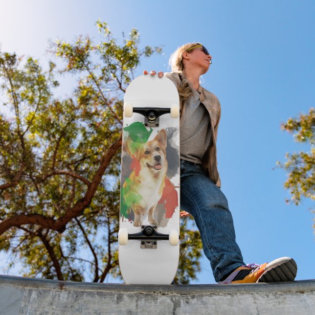 Hübsches Corgi. Skateboard (Außen 1)