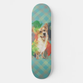 Hübsches Corgi. Skateboard
