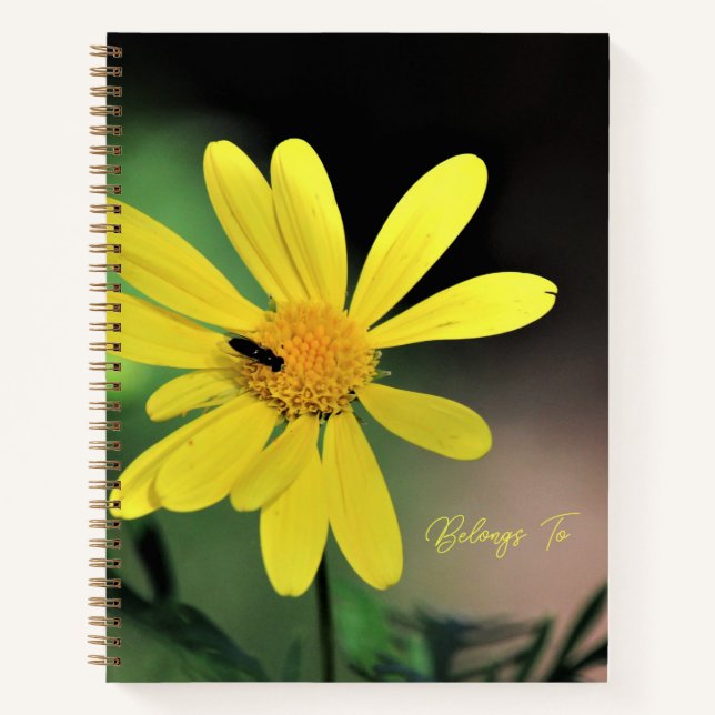 Hübsches Daisy Spiral Notebook Notizbuch (Vorderseite)
