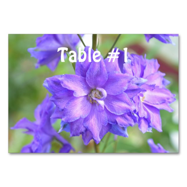 Hübsches Delphinium Tischnummer (Vorderseite)