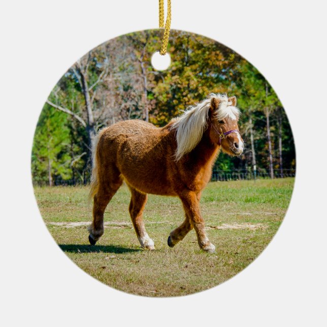 Hübsches die Shetlandinseln-Pony Keramik Ornament (Vorne)
