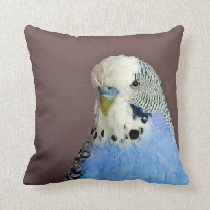 Hübsches Foto Kissen