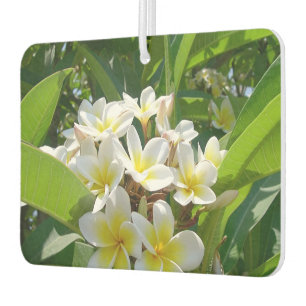 Hübsches Frühlingsblumen-Thema Autolufterfrischer