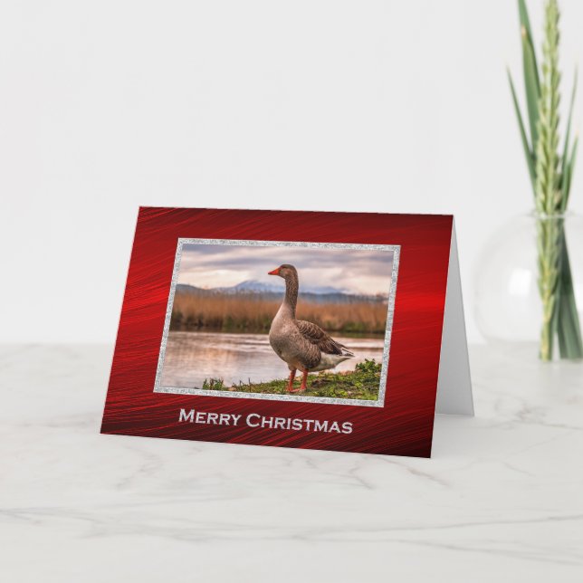 Hübsches Gänselandschaft Foto Weihnachten (Vorderseite)