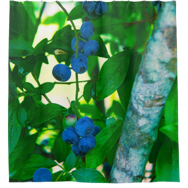 Hübsches Gemüse Duschvorhang (Vorderseite)