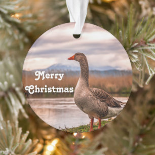 Hübsches Goose Landscape Foto Ornament