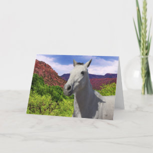Hübsches graues Pony mit Big Eyes - Leere Karte