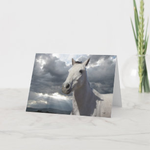Hübsches graues Pony mit Big Eyes - Leere Karte