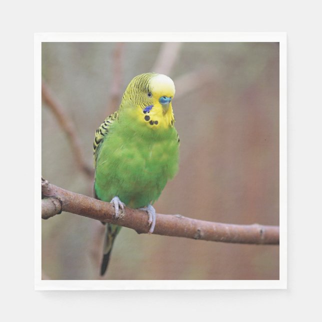 Hübsches Green Budgie Foto Serviette (Vorderseite)