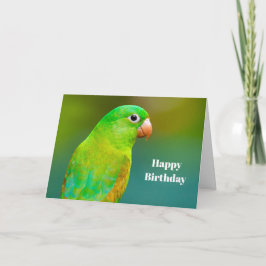 Hübsches Grüner Papagei Foto Geburtstag Karte