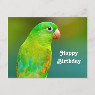 Hübsches grünes Papageien-Foto Geburtstag Postkarte