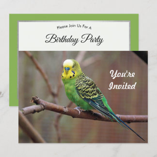 Hübsches grünes Parakeet Foto Geburtstag Einladung