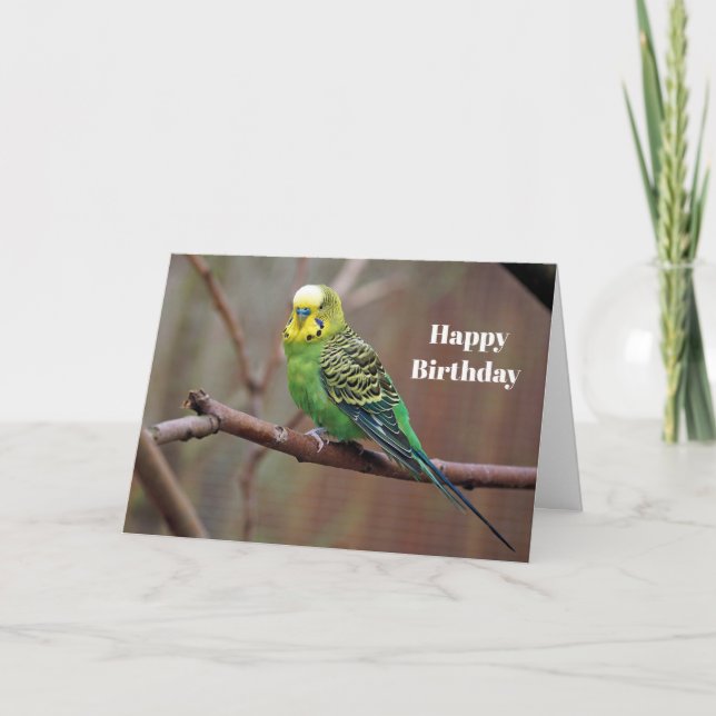 Hübsches grünes Parakeet Foto Geburtstag Karte (Vorderseite)