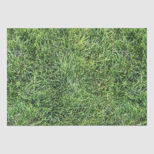Hübsches Grüngras-Foto-Textur-Muster Spaß Seidenpapier (Vorderseite)