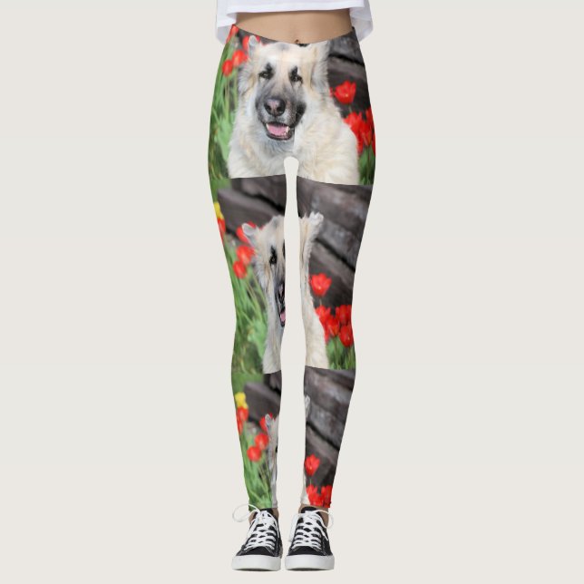 Hübsches GSD Leggings (Vorderseite)