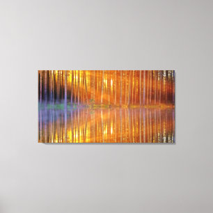 Hübsches Holzland Sonnenuntergang Goldene Reflexio Leinwanddruck
