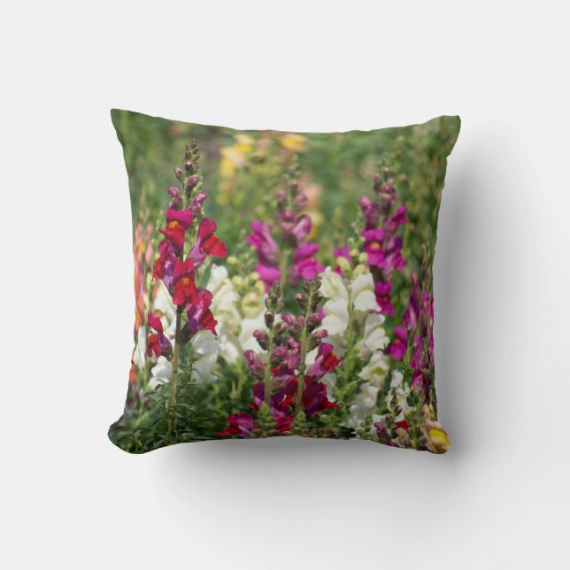 Hübsches Kissen von Snapdragons. (Vorderseite)