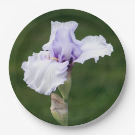 Hübsches Lavendel Iris Foto Pappteller