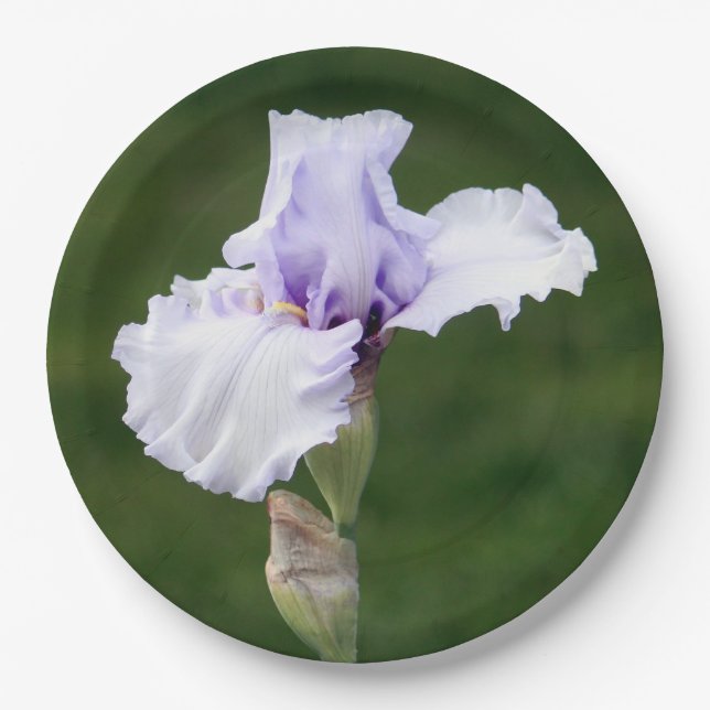 Hübsches Lavendel Iris Foto Pappteller (Vorderseite)