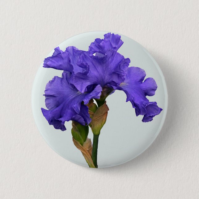 Hübsches Lila Iris Floral Foto Button (Vorderseite)