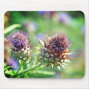 Hübsches Lila Thistle Garden Blume Foto Mousepad