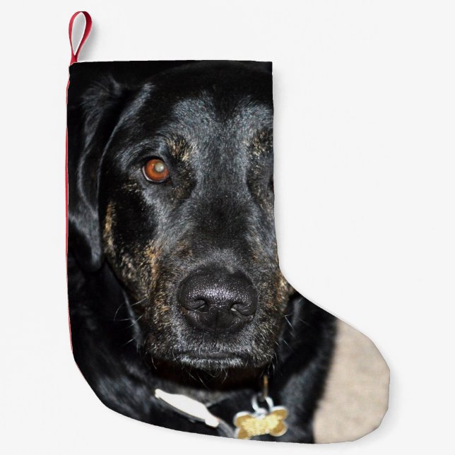 Hübsches Mädchen-Spritzen Kleiner Weihnachtsstrumpf (Vorderseite)