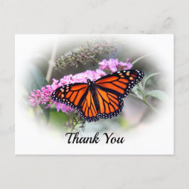 Hübsches Monarch Butterfly Foto Danke, Postcard Postkarte