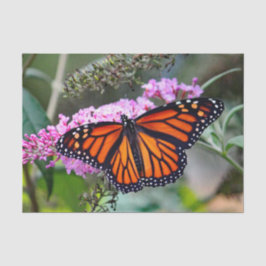 Hübsches Monarch Butterfly-Foto Seidenpapier