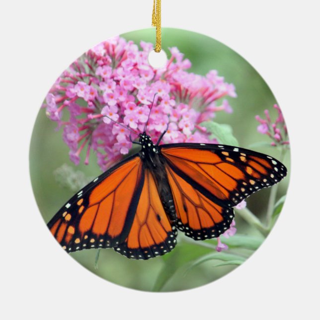 Hübsches Monarch Butterfly Rosa Foto Keramik Ornament (Hinten)
