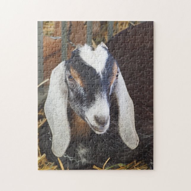 Hübsches Nubian Goat Foto (Vertikal)