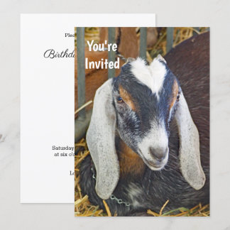 Hübsches Nubian Goat Foto Geburtstag Einladung