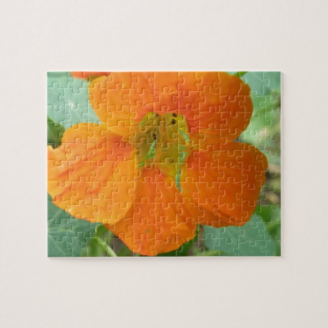 Hübsches Orange Nasturtium Blume Puzzle (Horizontal)