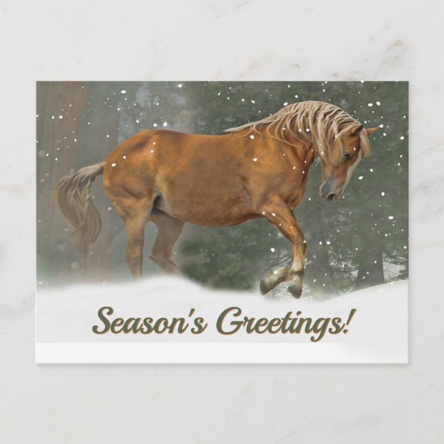 Hübsches Palomino Horosmeer im Schnee Weihnachten (Vorderseite)