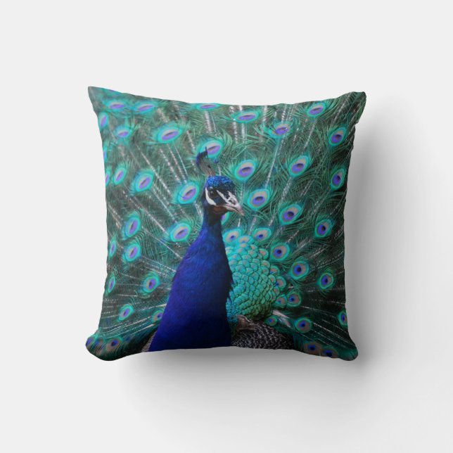 Hübsches Pfau-Kissen Kissen (Vorderseite)