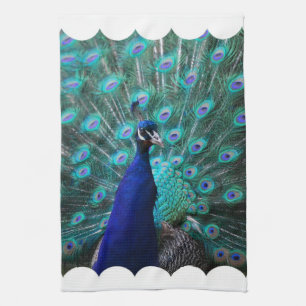 Hübsches Pfau-Küchen-Tuch Geschirrtuch